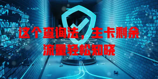 这个查询法，主卡剩余流量轻松知晓