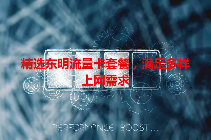 精选东明流量卡套餐，满足多样上网需求