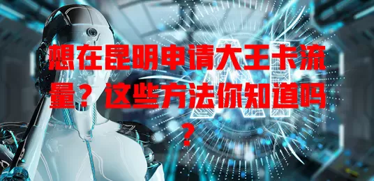 想在昆明申请大王卡流量？这些方法你知道吗？
