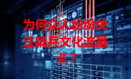 为何众人纷纷关注哨兵文化流量卡？