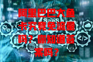 阿里巴巴大鱼卡究竟免流量吗？你知道答案吗？