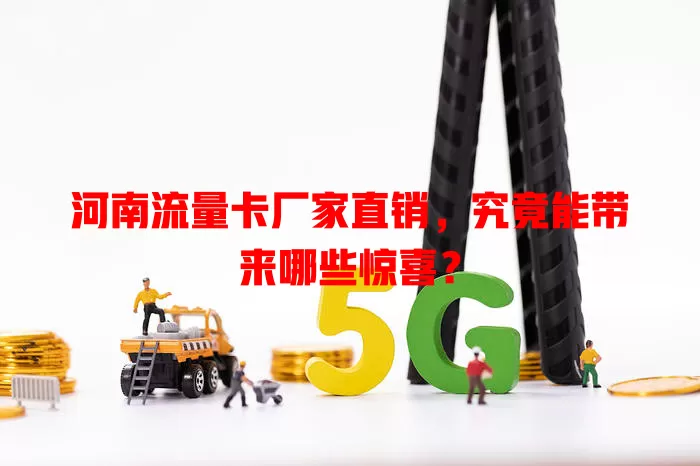 河南流量卡厂家直销，究竟能带来哪些惊喜？