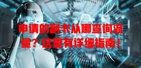 申请的副卡从哪查询流量？这里有详细指南！
