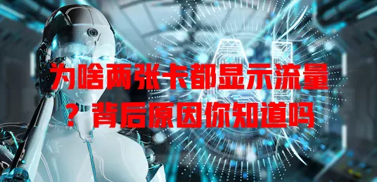 为啥两张卡都显示流量？背后原因你知道吗
