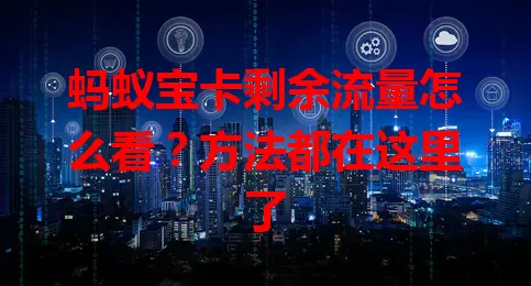 蚂蚁宝卡剩余流量怎么看？方法都在这里了