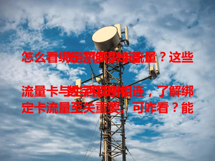 怎么看绑定了多少卡流量？这些方法你得知道！

数字化时代流量卡与生活紧密相连，了解绑定卡流量至关重要。可咋看？能通过运营商官方APP查，也能拨客服电话或去线下营业厅。掌握查看方法，对数字生活意义重大，快试试！