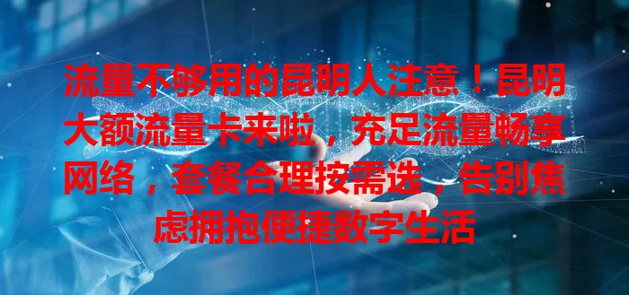 流量不够用的昆明人注意！昆明大额流量卡来啦，充足流量畅享网络，套餐合理按需选，告别焦虑拥抱便捷数字生活