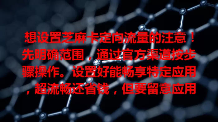 想设置芝麻卡定向流量的注意！先明确范围，通过官方渠道按步骤操作。设置好能畅享特定应用，超流畅还省钱，但要留意应用版本、有效期等细节，快来优化网络体验！