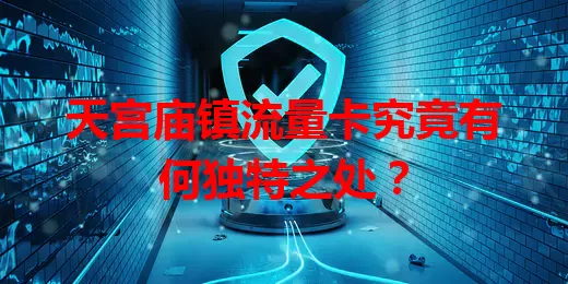 天宫庙镇流量卡究竟有何独特之处？