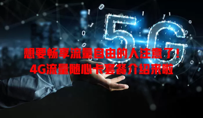 想要畅享流量自由的人注意了！4G流量随心卡套餐介绍来啦