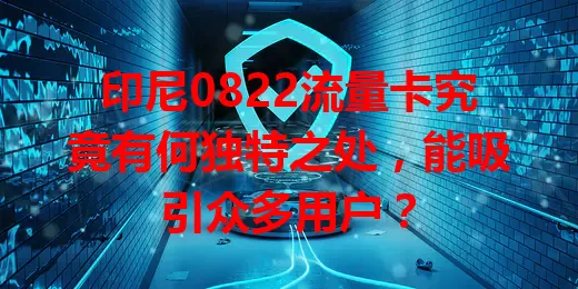 印尼0822流量卡究竟有何独特之处，能吸引众多用户？