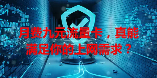 月费九元流量卡，真能满足你的上网需求？