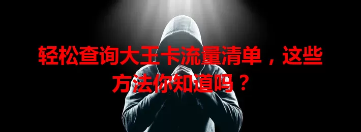 轻松查询大王卡流量清单，这些方法你知道吗？