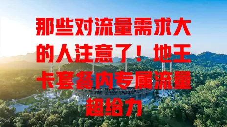 那些对流量需求大的人注意了！地王卡套餐内专属流量超给力