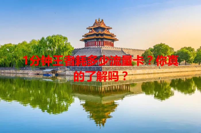 1分钟王者耗多少流量卡？你真的了解吗？