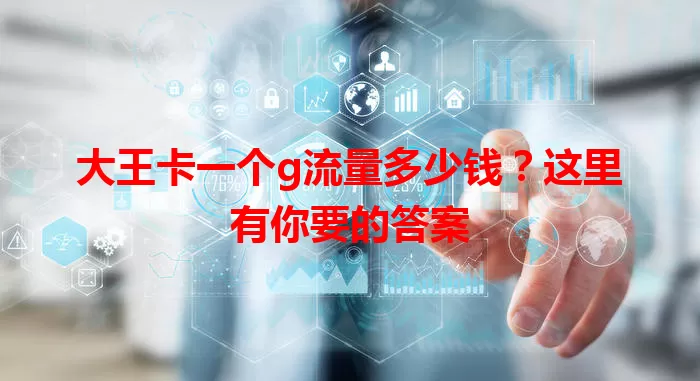 大王卡一个g流量多少钱？这里有你要的答案