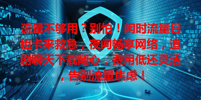 流量不够用？别怕！闲时流量日租卡来救急，夜间畅享网络，追剧聊天下载随心，费用低还灵活，告别流量焦虑！