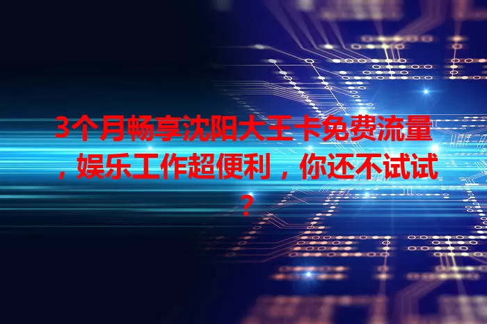 3个月畅享沈阳大王卡免费流量，娱乐工作超便利，你还不试试？