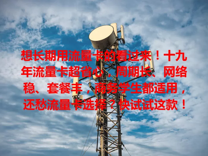想长期用流量卡的看过来！十九年流量卡超省心，周期长、网络稳、套餐丰，商务学生都适用，还愁流量卡选择？快试试这款！