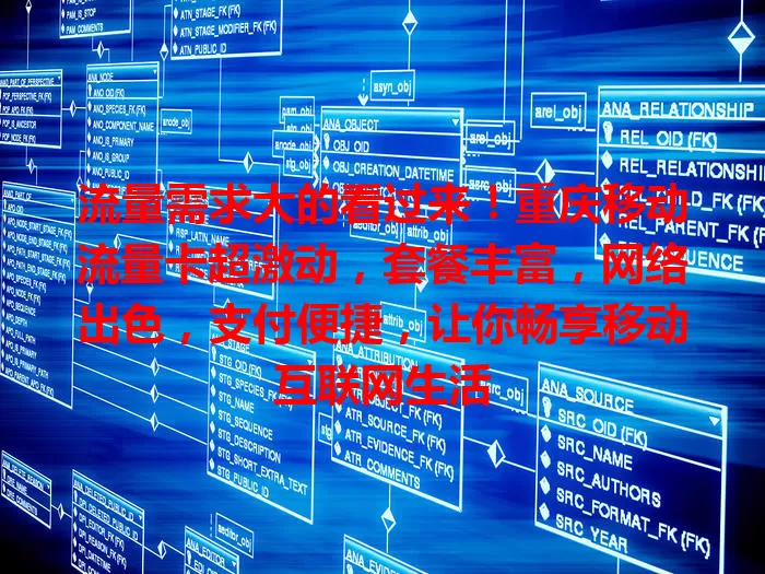 流量需求大的看过来！重庆移动流量卡超激动，套餐丰富，网络出色，支付便捷，让你畅享移动互联网生活
