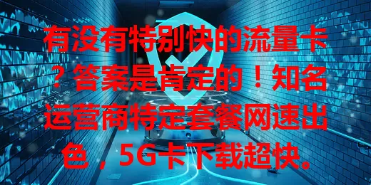 有没有特别快的流量卡？答案是肯定的！知名运营商特定套餐网速出色，5G卡下载超快。热门旅游区有专属卡，景区及周边网络稳。选快流量卡得看需求，选对畅享快速网络，数字生活更精彩