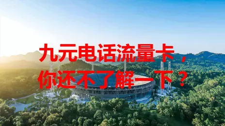 九元电话流量卡，你还不了解一下？