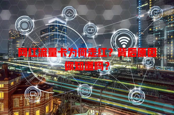网红流量卡为何走红？背后原因你知道吗？