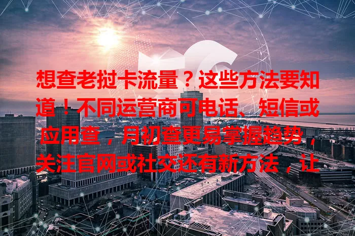 想查老挝卡流量？这些方法要知道！不同运营商可电话、短信或应用查，月初查更易掌握趋势，关注官网或社交还有新方法，让你流量花得明白