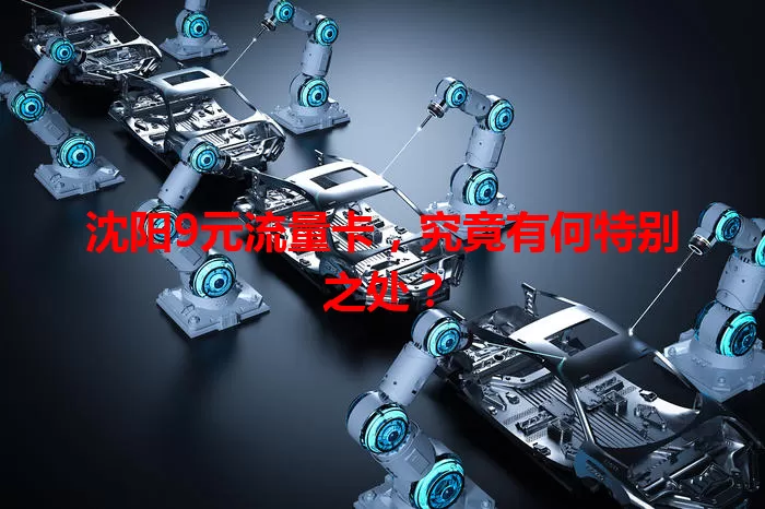 沈阳9元流量卡，究竟有何特别之处？