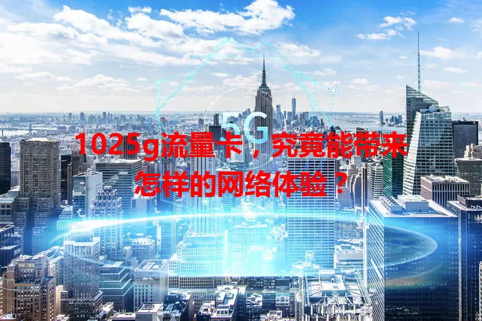1025g流量卡，究竟能带来怎样的网络体验？