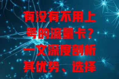 有没有不用上号的流量卡？一文深度剖析其优势、选择要点与使用体验
