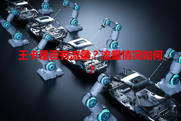 王卡是否有流量？流量情况如何？