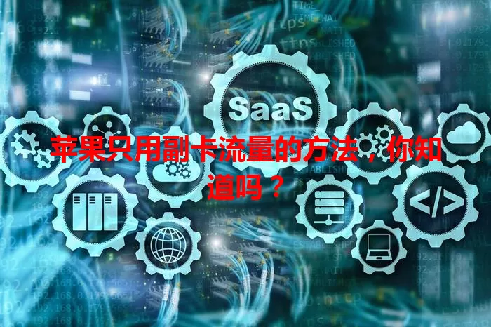 苹果只用副卡流量的方法，你知道吗？