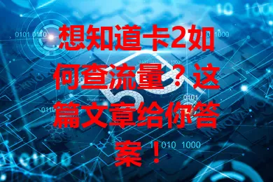 想知道卡2如何查流量？这篇文章给你答案！