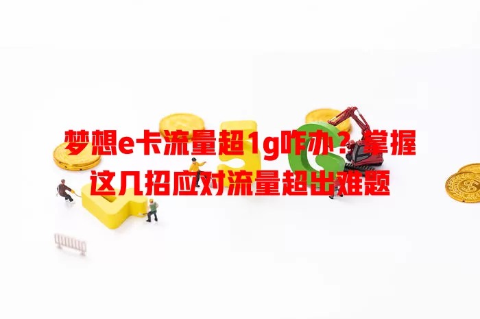 梦想e卡流量超1g咋办？掌握这几招应对流量超出难题
