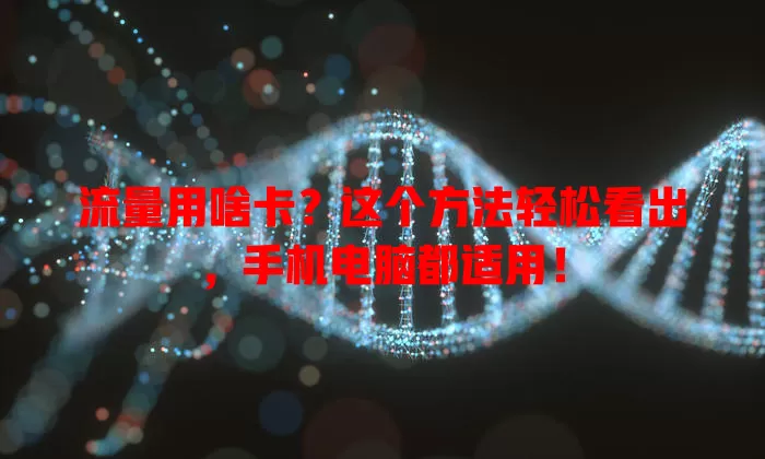 流量用啥卡？这个方法轻松看出，手机电脑都适用！