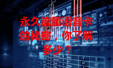 永久流量语音卡的秘密，你了解多少？