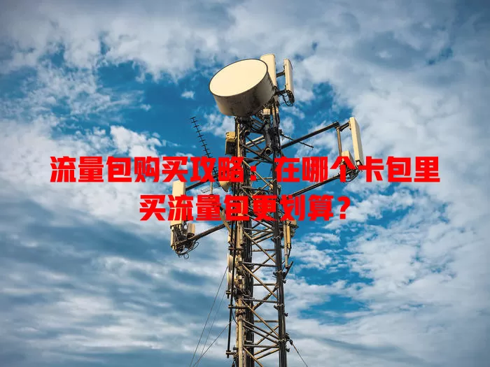 流量包购买攻略：在哪个卡包里买流量包更划算？