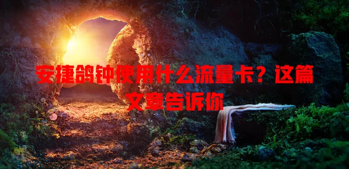 安捷鸽钟使用什么流量卡？这篇文章告诉你