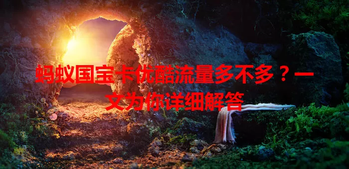蚂蚁国宝卡优酷流量多不多？一文为你详细解答
