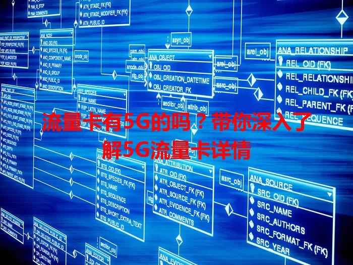 流量卡有5G的吗？带你深入了解5G流量卡详情