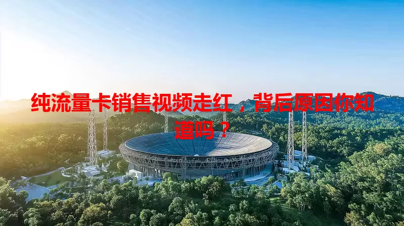 纯流量卡销售视频走红，背后原因你知道吗？