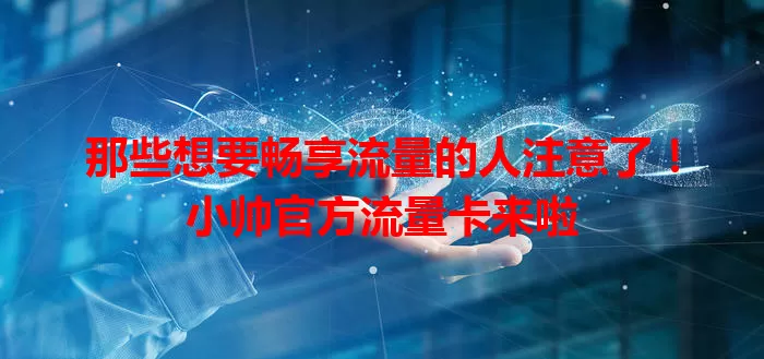 那些想要畅享流量的人注意了！小帅官方流量卡来啦