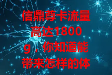 信鼎尊卡流量高达1800g，你知道能带来怎样的体验吗？