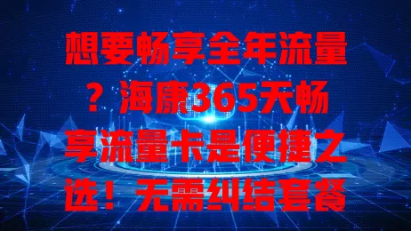 想要畅享全年流量？海康365天畅享流量卡是便捷之选！无需纠结套餐，一年随时畅快用，网络稳定，在哪都能自在在线，开启无忧流量之旅