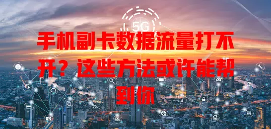 手机副卡数据流量打不开？这些方法或许能帮到你
