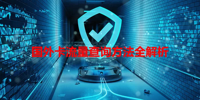 国外卡流量查询方法全解析