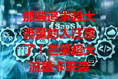 那些追求超大流量的人注意了！芒果超大流量卡来袭