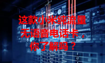 这款小米纯流量无语音电话卡，你了解吗？