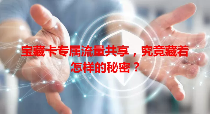 宝藏卡专属流量共享，究竟藏着怎样的秘密？